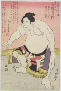 Tesmo _ Wre ster Shirataki Erişte _ by Ryuryukyo Shinsai