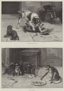 Köpekler ve Yiyecekler