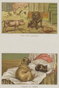 Esprili Köpekler (chromolitho) by S.T. Dadd