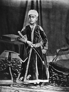 ಹೈದರಾಬಾದ್ ನಿಜಾಮ್, 1877 ಟರ್ಕಿ