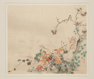 Bitkilerde Şahin (renkli tahta baskı) by Sakai Hoitsu