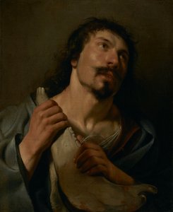  by Salomon de Bray