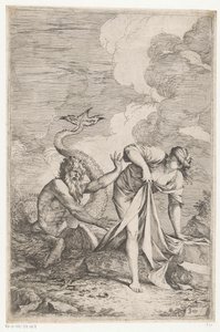 Scylla Glaucus