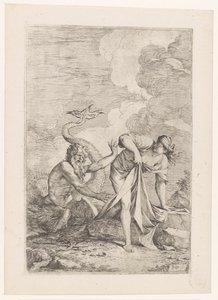 Scylla Glaucus