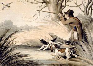 Atıcı Ördek, gravür H. Merke, c.1809 (renkli taş)