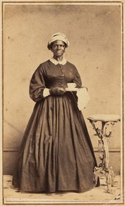 Bir Kadın Portresi,1864-1865 (fotoğraf) by Samuel A. Thomas
