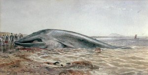Aberlady Balinası, Longriddy Körfezi by Samuel Bough