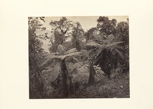  by Samuel Bourne