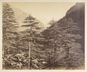 Bhairamghati
