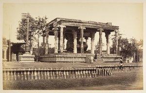 Büyük Taş Boğa, Tanjore
