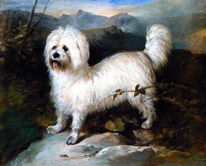 Manzaradaki Küçük Beyaz Köpek (tuval üzerine yağlı boya) by Samuel Coleman