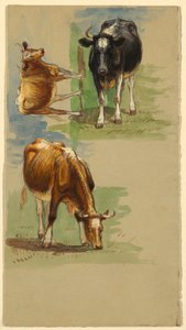 Sığır, Steers by Samuel Colman
