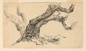 by Samuel Colman