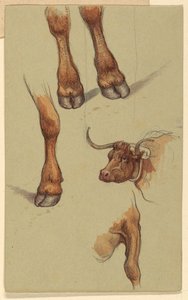  by Samuel Colman