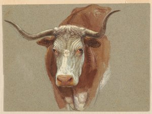 İnek veya Öküz Başı by Samuel Colman
