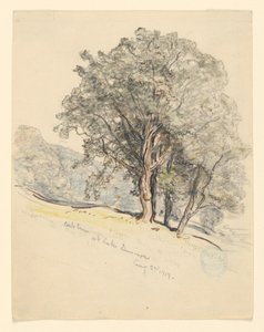 Lake Dunmore, Vermont'ta Meşe Ağaçları Çalışması by Samuel Colman