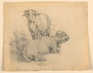 İki Ram Çalışması by Samuel Colman