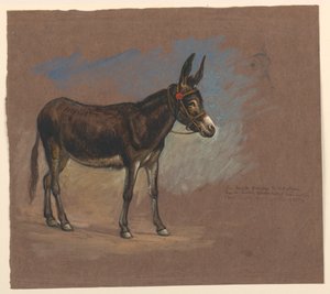 Katır Çalışması by Samuel Colman