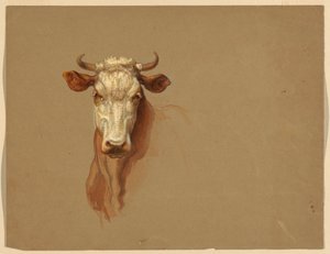 Sığırların İki Çalışması by Samuel Colman