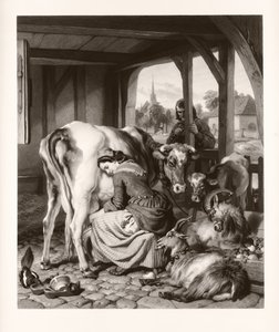 Hizmetçi ve Saksağan (mezzotint)