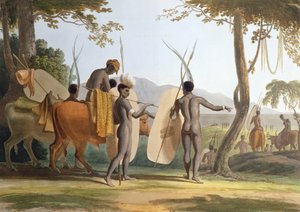 Bir Mart'ta, sanatçı tarafından oyulmuş 'African Scenery and Animals'dan 5. levha, 1804 (aquatint)