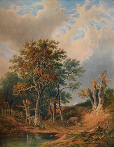 Manzara, 1847 by Samuel David Colkett