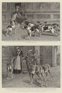 Parktaki Hayvanlardan Dolayı Salon Kapılarını kapalı tutmanız rica olunur. by Samuel Edmund (after) Waller