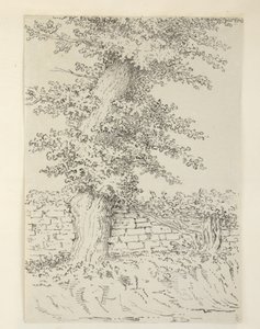 Ekle. MS 15546 Bedminster