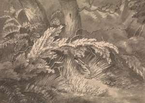 Ormanın Kenarında Bir Tavşan by Samuel Howitt