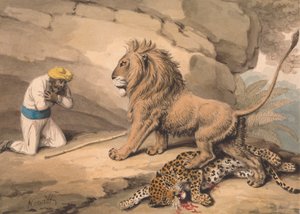 Yaralı Bir Leapardın Üzerinde Duran Aslan
