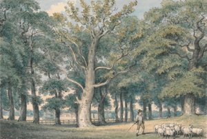 Çoban ve Koyunlu Bir Park Manzarası by Samuel Howitt
