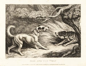 Tasmalı bir ev köpeği, açlıktan ölmek üzere olan bir kurda yiyecek sunar. 1811 (gravür) by Samuel Howitt