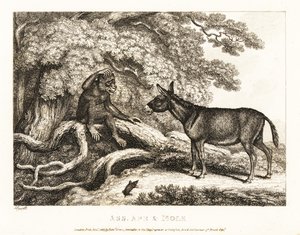 Bir maymun ve bir eşek, bir köstebek onları susturana kadar inler. 1811 (gravür)