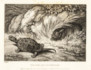 Bir kaplumbağa, bir yarışta uyuyan bir tavşanı sollar. 1811 (gravür) by Samuel Howitt