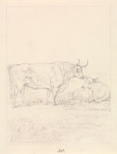 Boğa ve İnek by Samuel Howitt