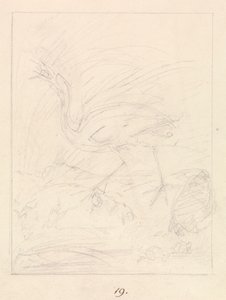 Turna ve Kurbağalar by Samuel Howitt