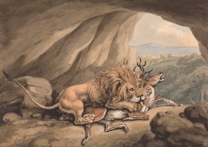 Bir geyiğe saldıran aslan by Samuel Howitt