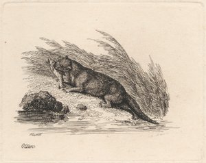 Su samuru by Samuel Howitt