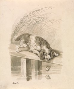 Köpek ve Gölge by Samuel Howitt