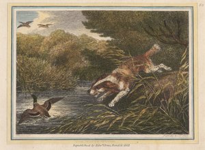 Su Spaniel by Samuel Howitt