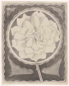 Roos by Samuel Jessurun de Mesquita (signed by artist)