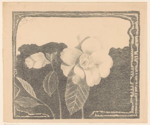 Camelia, tomurcukta çiçek bıraktı by Samuel Jessurun de Mesquita