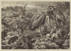 Didlington Park, Norfolk'ta Heronry by Samuel John Carter