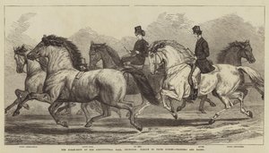 Tarım Salonundaki At Gösterisi, Islington, Ödüllü Atlar, Paçalar ve Hackler Geçit Töreni by Samuel John Carter
