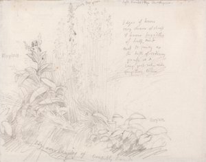 yüksükotu by Samuel Palmer