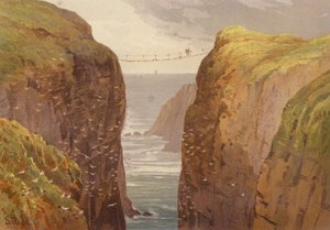 Kuzey İrlanda, Carrick-a-Rede (renkli taş)