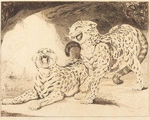 leoparlar by Samuel William Reynolds I after James Northcote