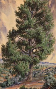  by Sandow