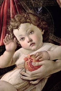 Paneldeki Nar mizacının Madonna