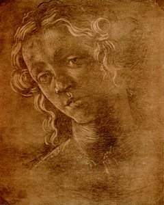 kadın kafa by Sandro Botticelli